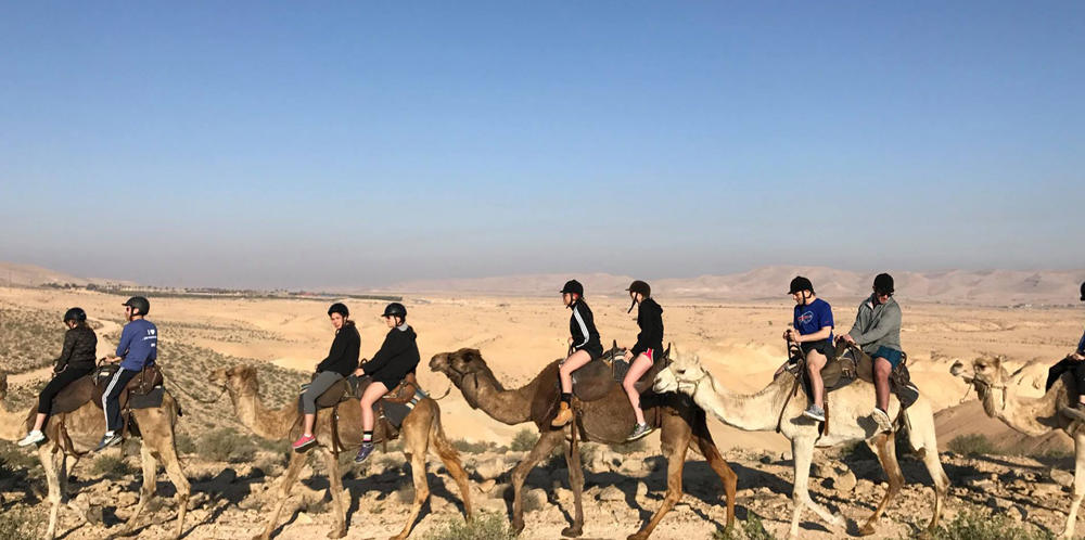 People on camels